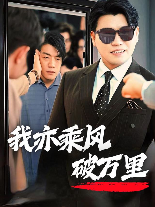 我亦乘风破万里封面