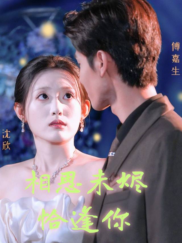 相思未烬恰逢你封面