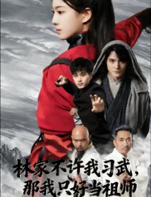 林家不许我习武,那我只好当祖师封面
