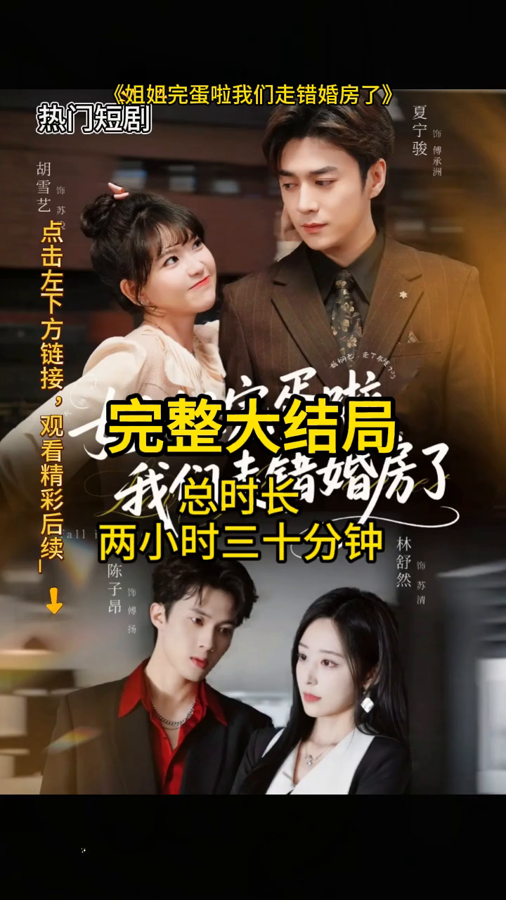 姐姐完蛋啦我们走错婚房了封面