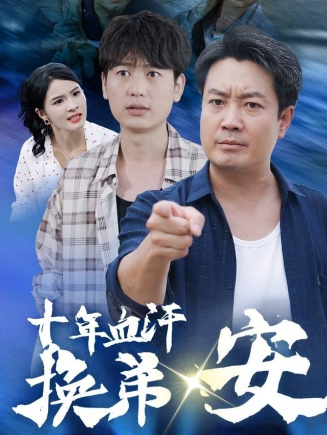 十年血汗换弟安封面