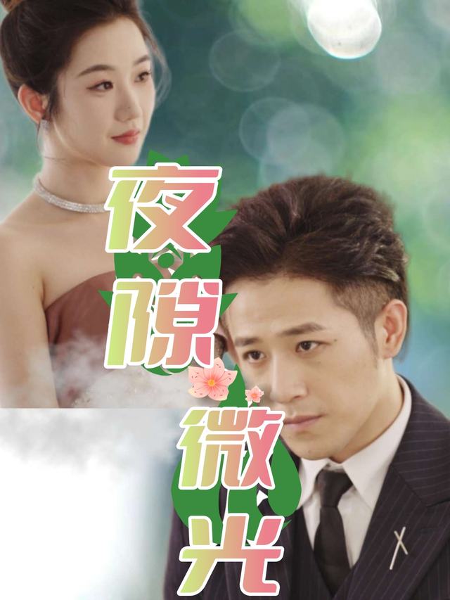 夜隙微光封面