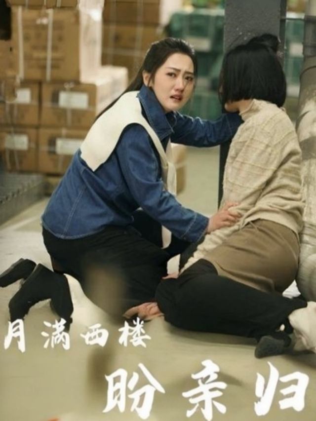 月满西楼盼亲归封面