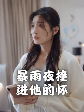 暴雨夜撞进他的怀封面