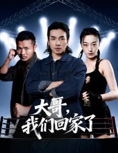 大哥，我们回家了封面