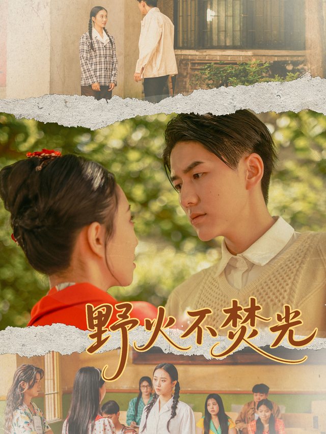 野火不焚光封面