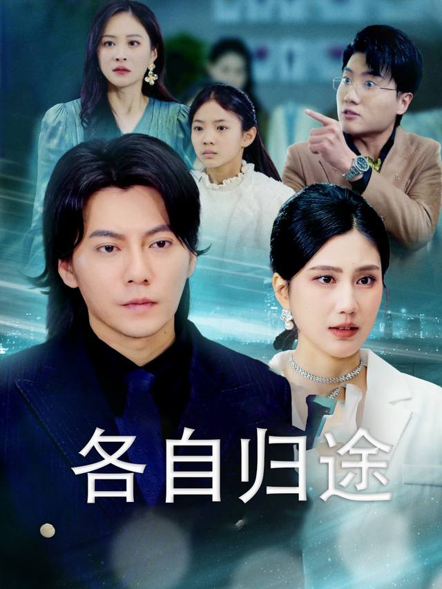 各自归途封面