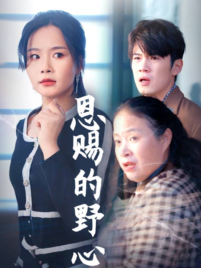 恩赐的野心封面