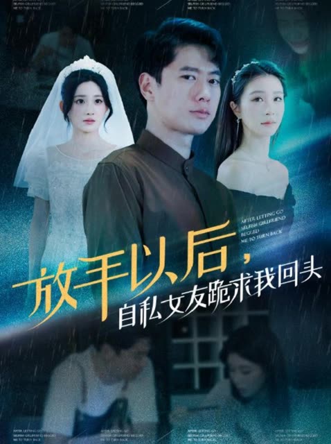 放手以后,自私女友跪求我回头封面