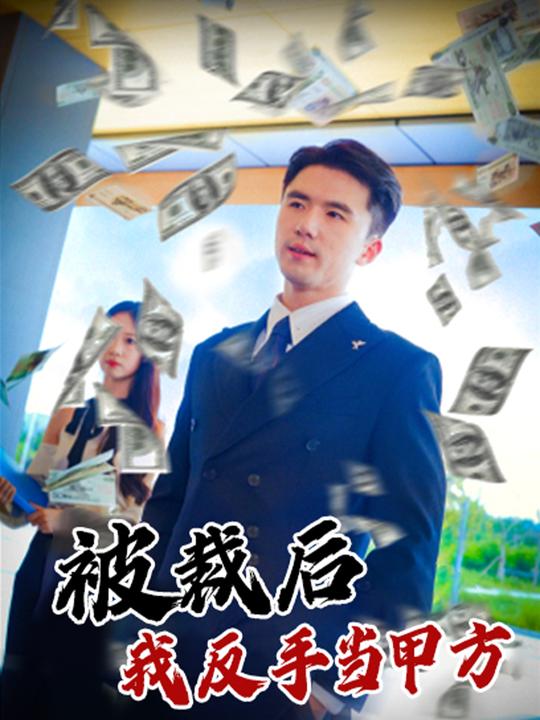 被裁后我反手当甲方封面