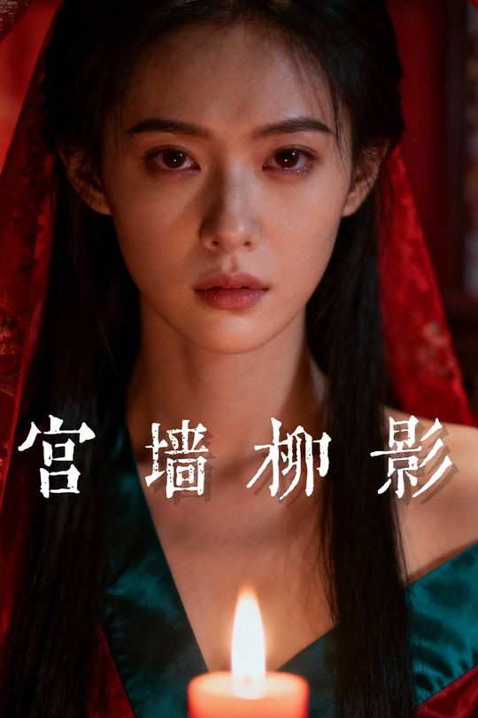 宫墙柳影封面