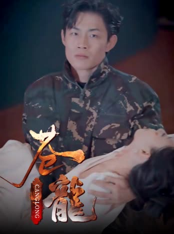苍龙封面