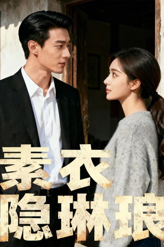 素衣隐琳琅封面