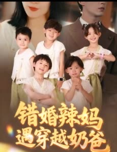 错婚辣妈遇穿越奶爸封面