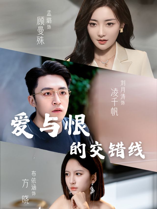 爱与恨的交错线封面