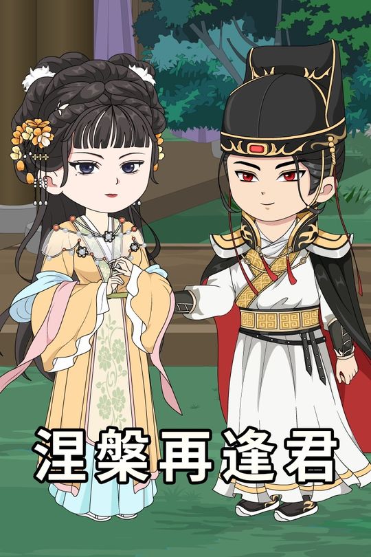 涅槃再逢君封面