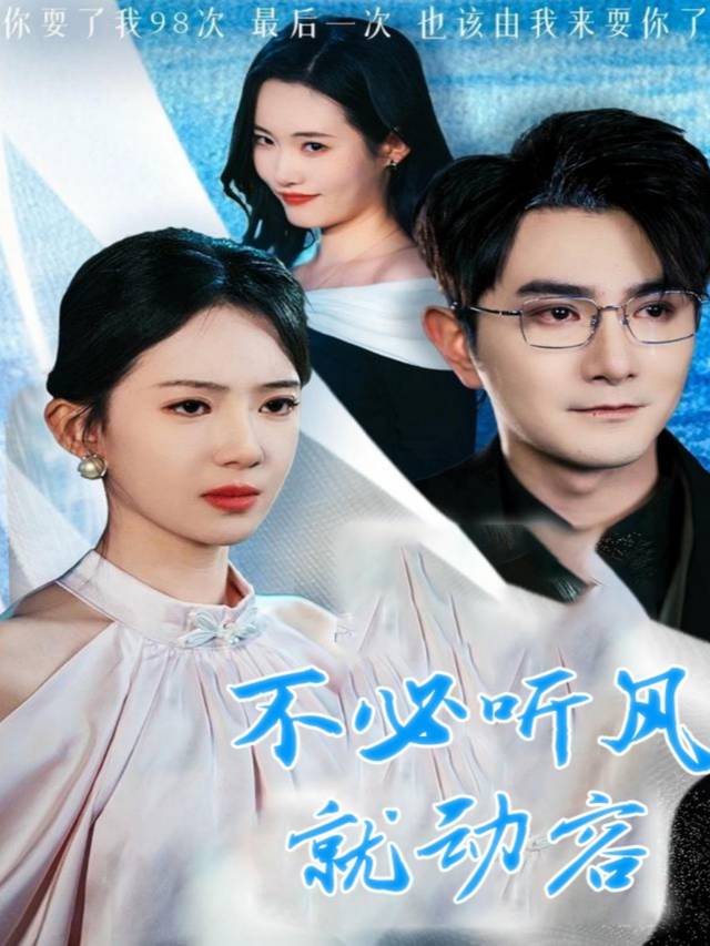 不必听风就动容封面