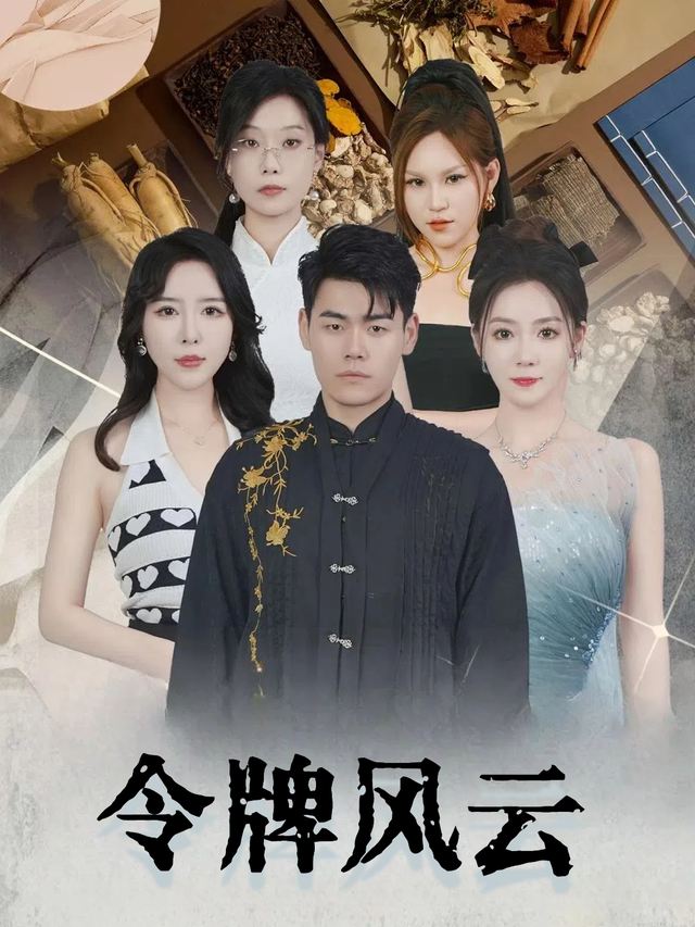 令牌风云封面