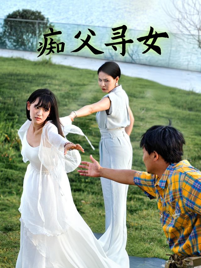 痴父寻女封面