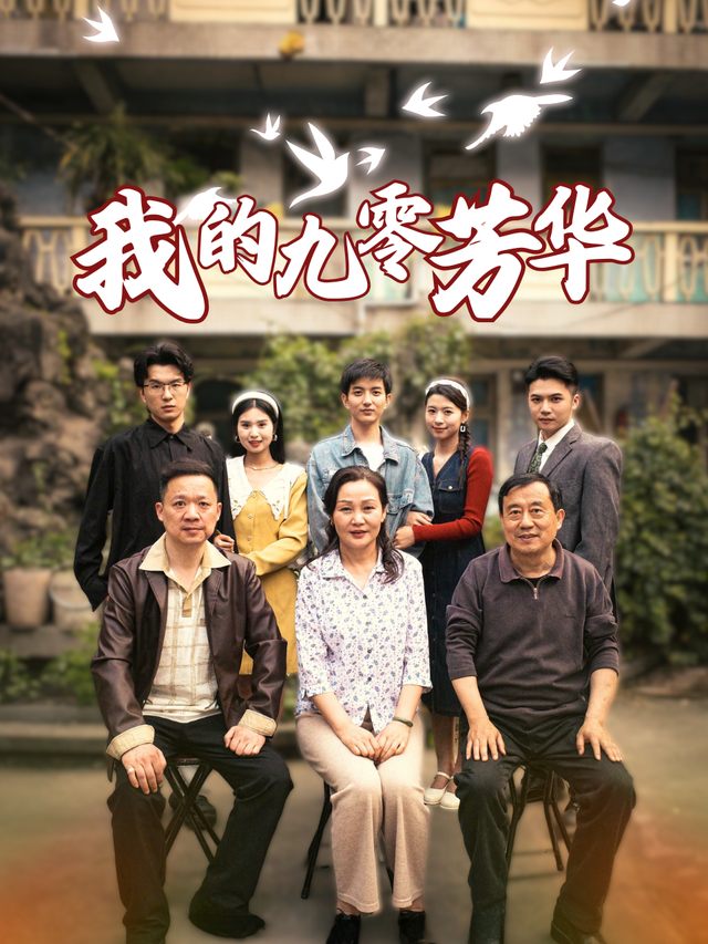我的九零芳华封面