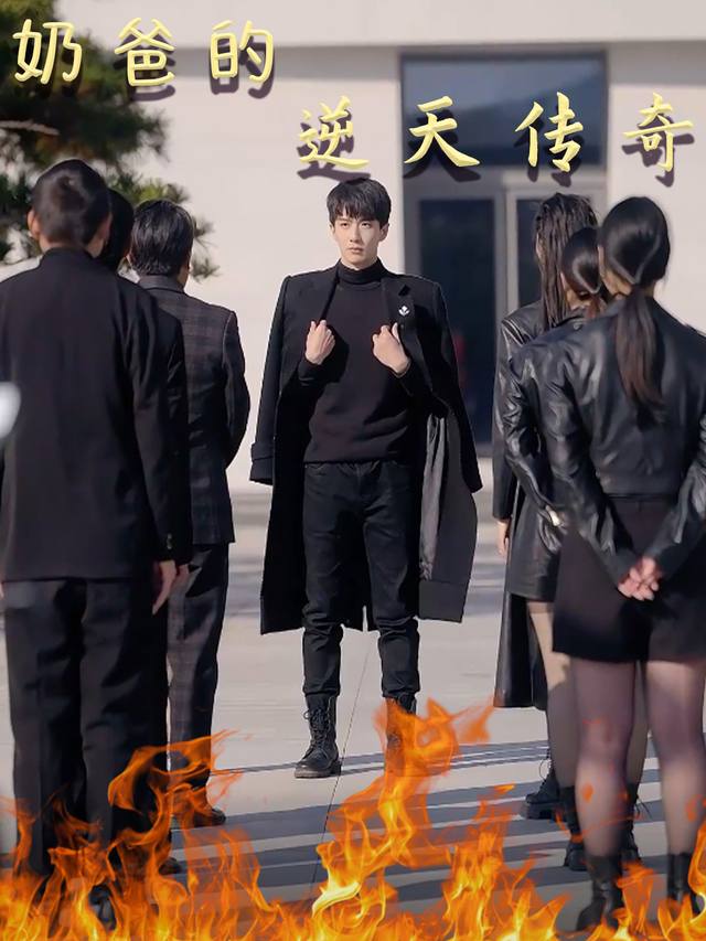 奶爸的逆天传奇封面
