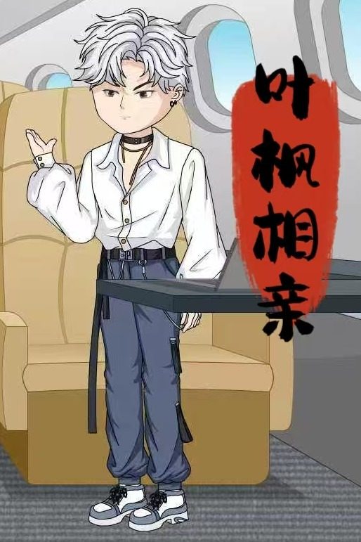 叶枫相亲封面