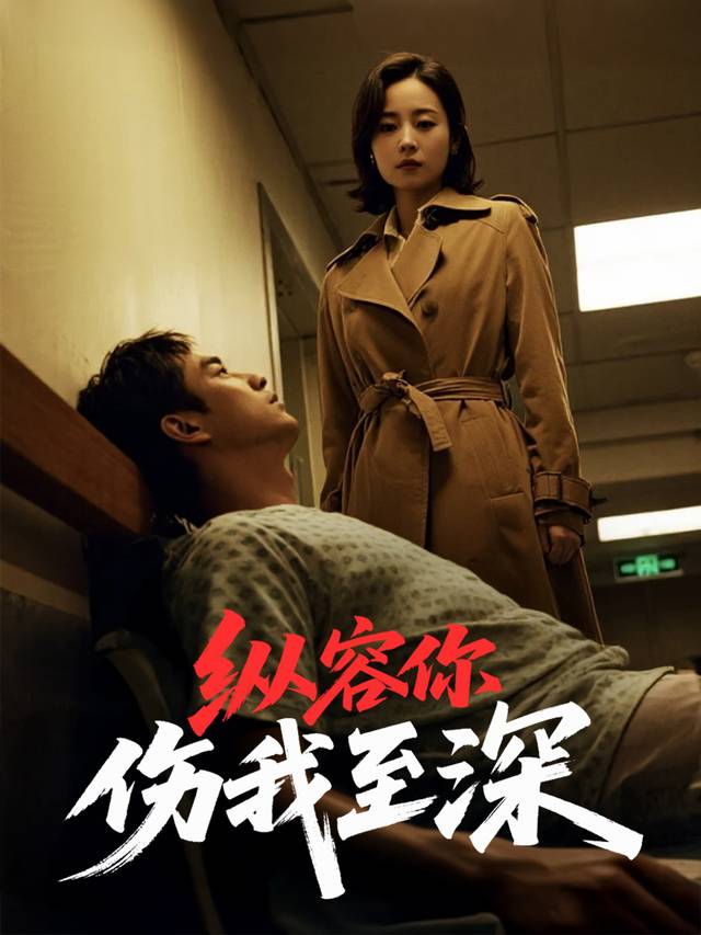 纵容你伤我至深封面