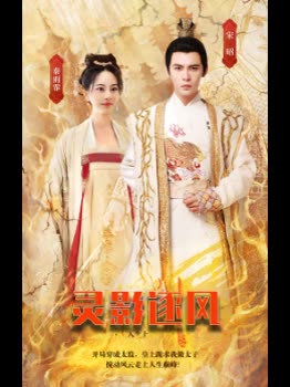 灵影逐风封面