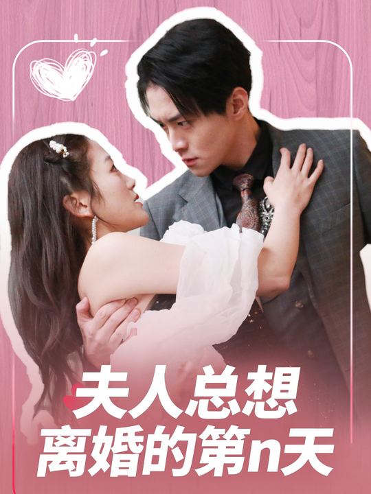 夫人总想离婚的第n天封面