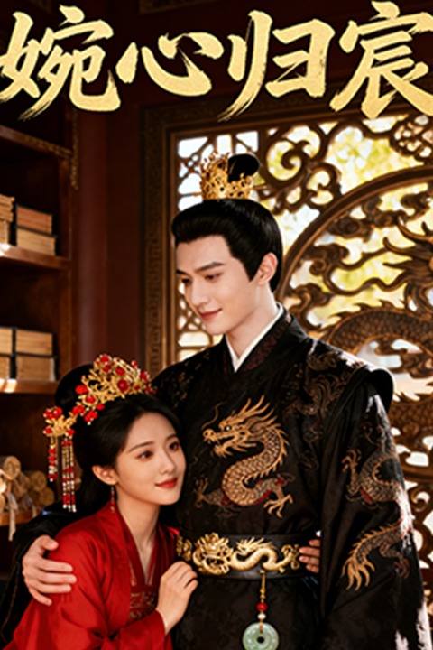 婉心归宸封面
