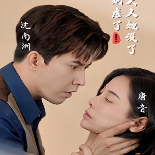 沈总别虐了,夫人她没了封面
