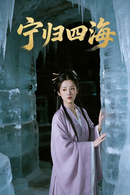 宁归四海封面