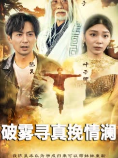 破雾寻真挽情澜封面