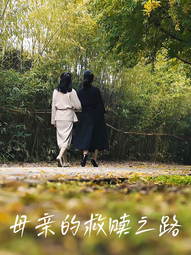 母亲的救赎之路封面