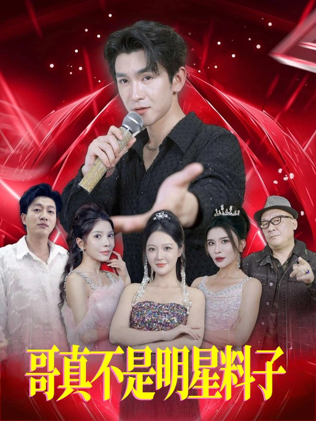 哥真不是明星料子封面