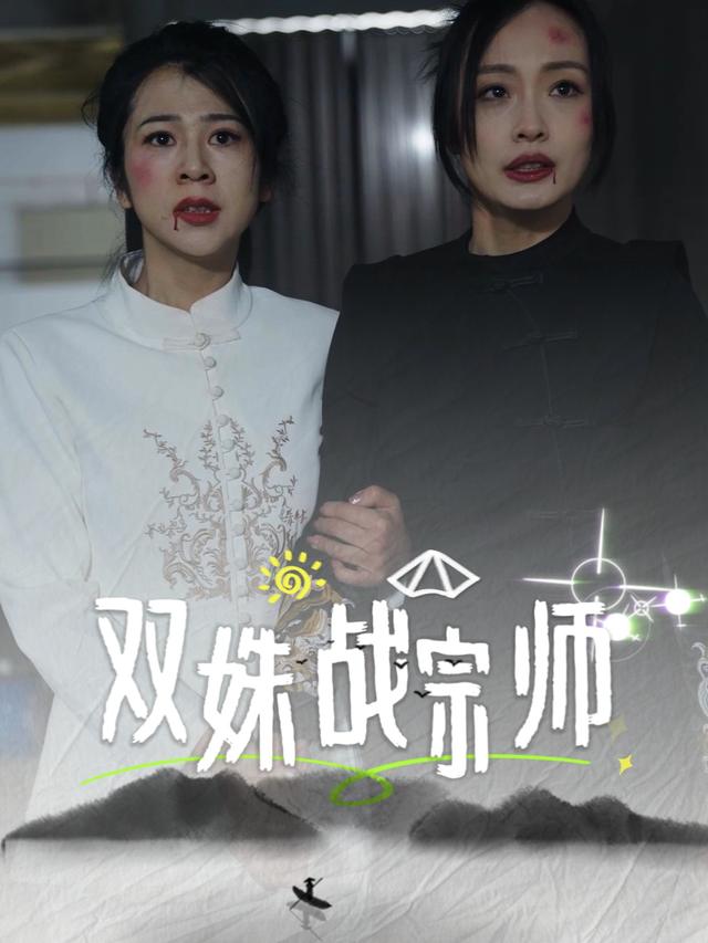 双姝战宗师封面