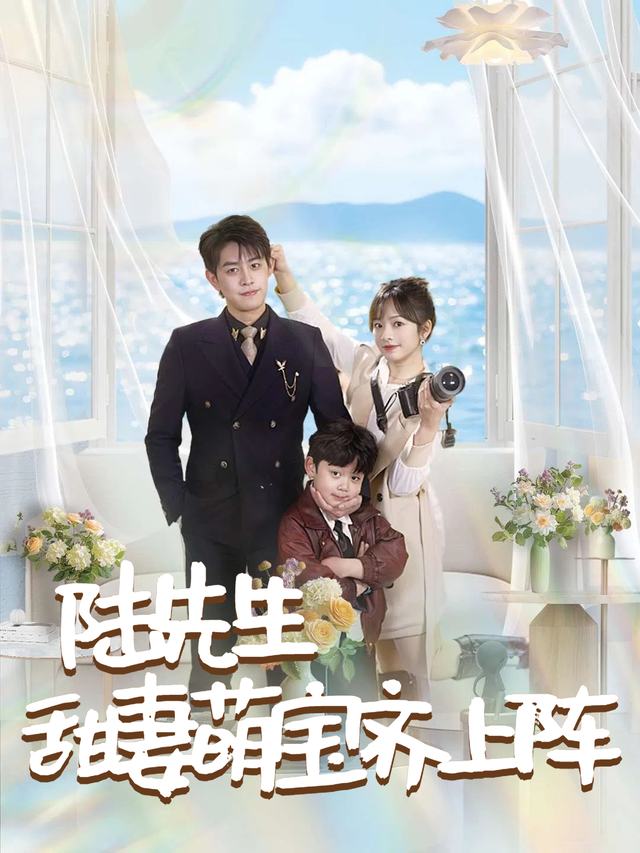 陆先生甜妻萌宝齐上阵封面