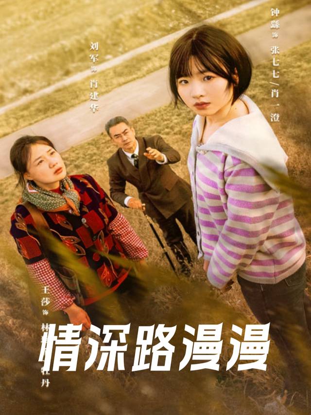情深路漫漫封面