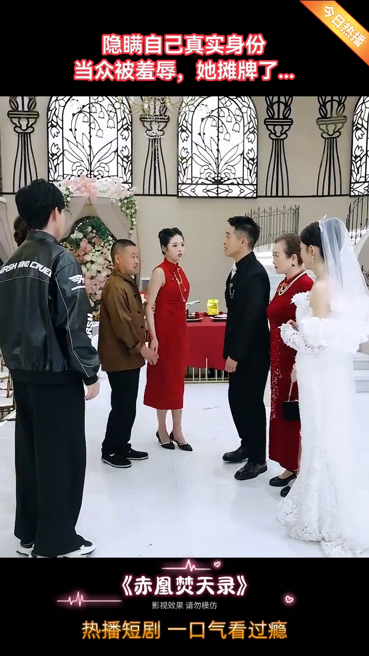 赤凰焚天录封面