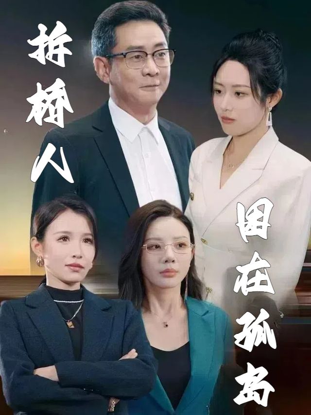 拆桥人困在孤岛封面