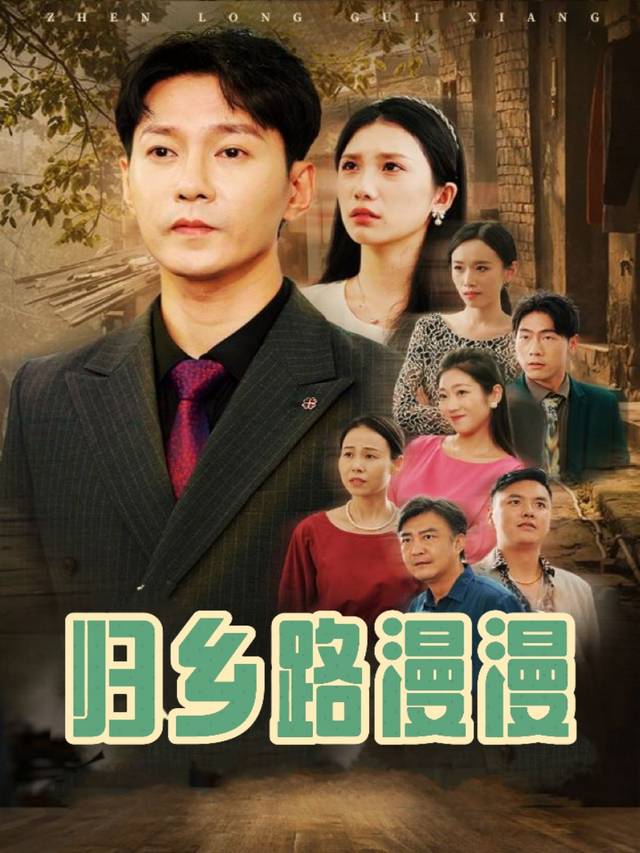 归乡路漫漫封面