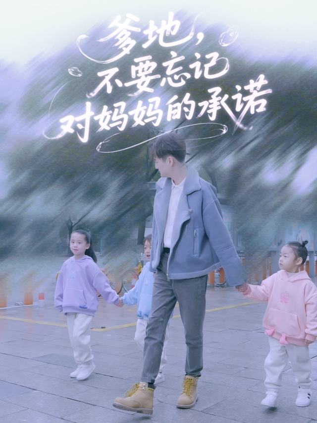 爹地,不要忘记对妈妈的承诺封面
