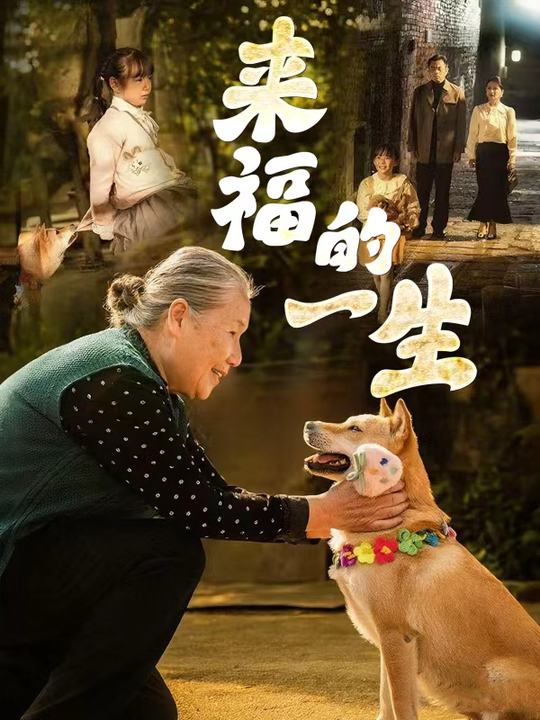 来福的一生封面