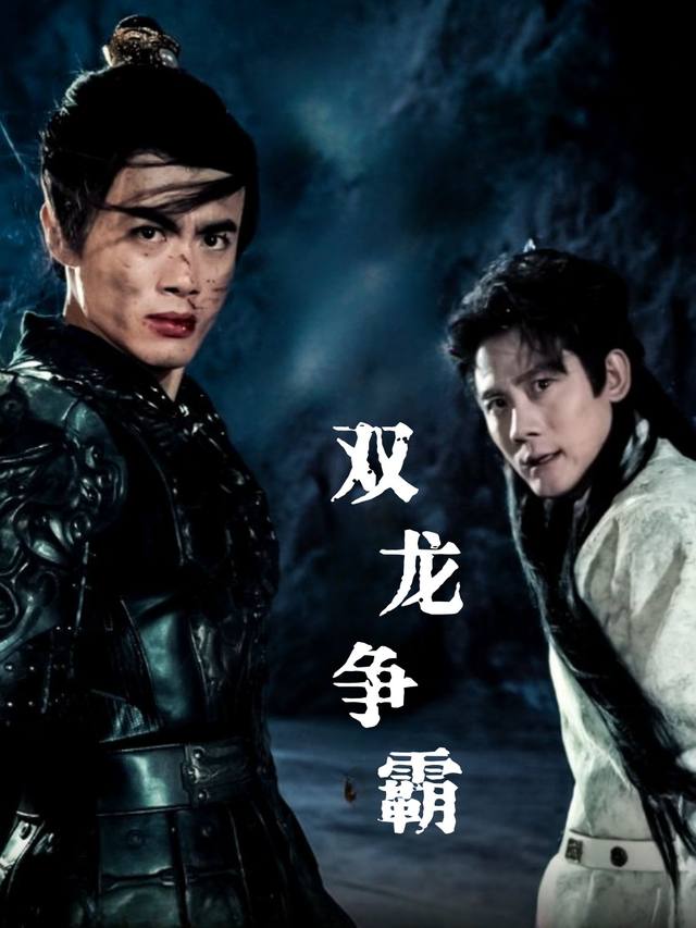 双龙争霸封面