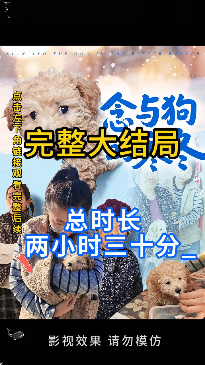 念与狗的寒冬封面