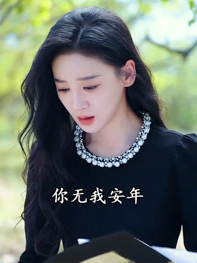你无我安年封面