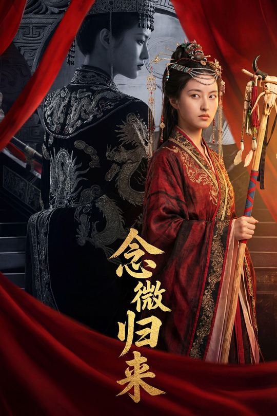 念微归来封面