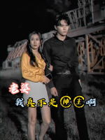老婆我真不是神主啊封面