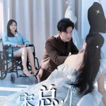 宋总别虐了,她才是你要找的颜小姐!封面