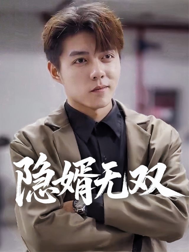 隐婿无双封面